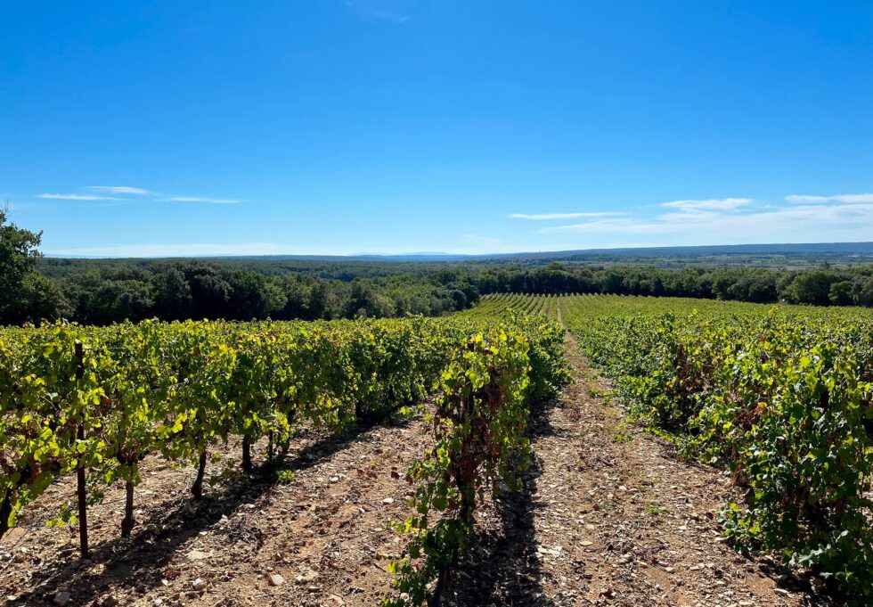 domaine viticole clos de la garriguette